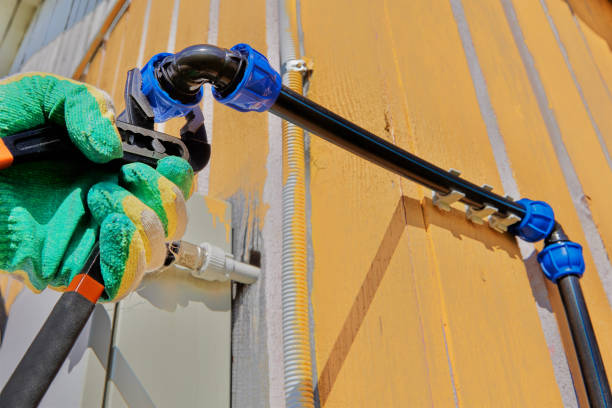 Best Local Plumber Services  in Dumont, NJ